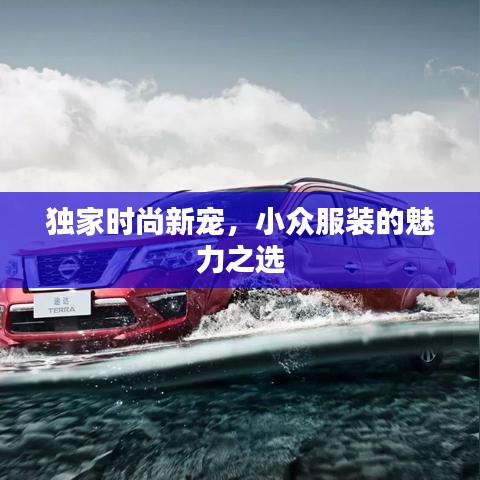 獨(dú)家時(shí)尚新寵，小眾服裝的魅力之選
