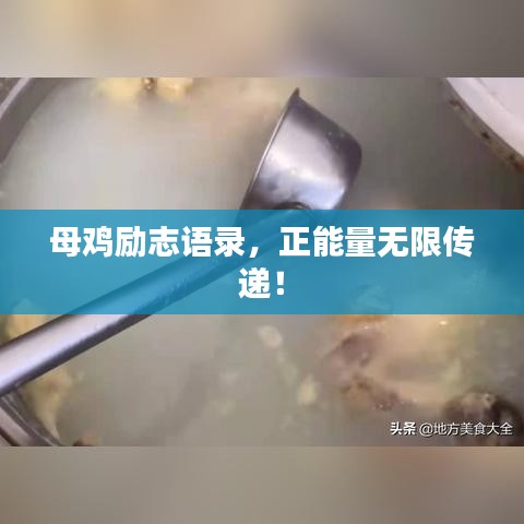 母雞勵(lì)志語(yǔ)錄，正能量無(wú)限傳遞！