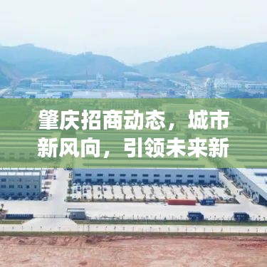 肇慶招商動態(tài)，城市新風向，引領未來新發(fā)展