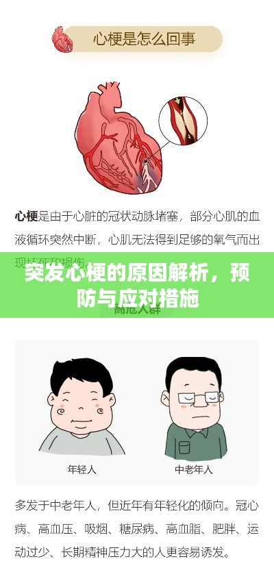 突發(fā)心梗的原因解析，預(yù)防與應(yīng)對(duì)措施