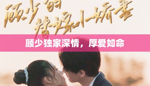 顧少獨(dú)家深情，厚愛如命