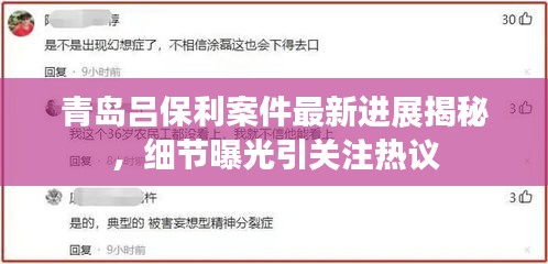 青島呂保利案件最新進展揭秘，細節(jié)曝光引關注熱議