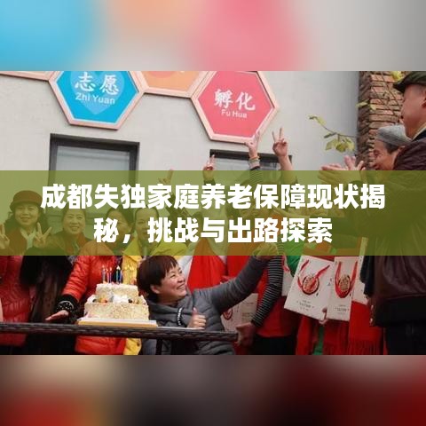 成都失獨(dú)家庭養(yǎng)老保障現(xiàn)狀揭秘，挑戰(zhàn)與出路探索