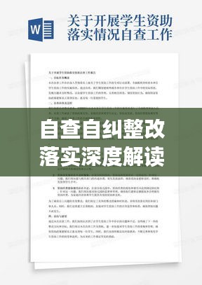 自查自糾整改落實深度解讀，全面梳理，切實行動