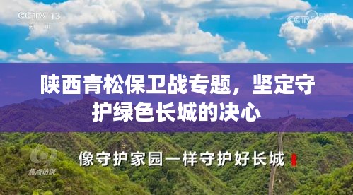 陜西青松保衛(wèi)戰(zhàn)專題，堅定守護綠色長城的決心
