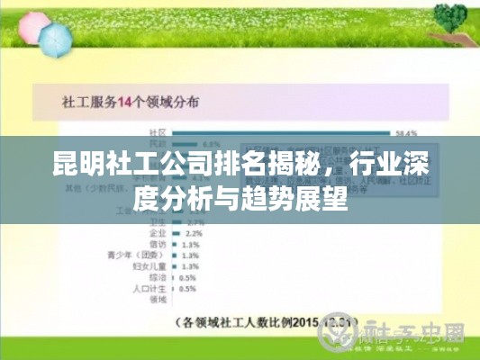 昆明社工公司排名揭秘，行業(yè)深度分析與趨勢展望