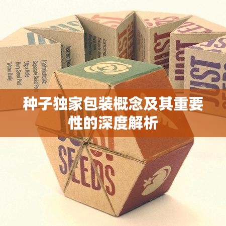 種子獨家包裝概念及其重要性的深度解析