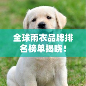 全球雨衣品牌排名榜單揭曉！