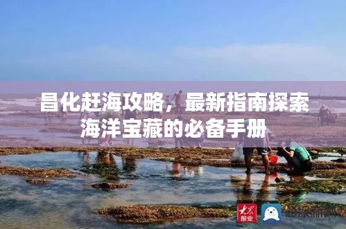 昌化趕海攻略，最新指南探索海洋寶藏的必備手冊