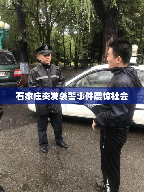 石家莊突發(fā)襲警事件震驚社會