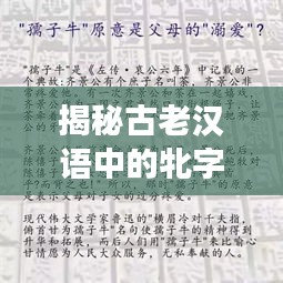 揭秘古老漢語中的牝字含義，深度解讀其背后的故事