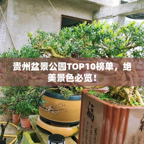 貴州盆景公園TOP10榜單，絕美景色必覽！