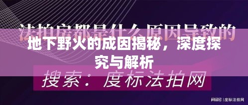 地下野火的成因揭秘，深度探究與解析