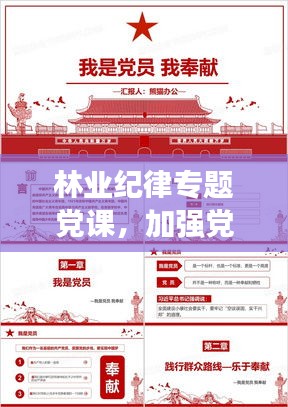 林業(yè)紀(jì)律專題黨課，加強(qiáng)黨風(fēng)廉政建設(shè)，深化林業(yè)行業(yè)自律教育