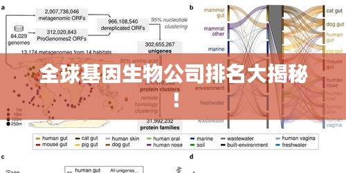 全球基因生物公司排名大揭秘！