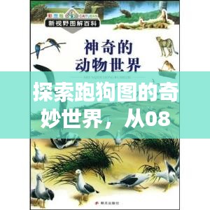 探索跑狗圖的奇妙世界，從08449跑狗圖專(zhuān)題網(wǎng)啟程