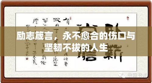 勵志箴言，永不愈合的傷口與堅韌不拔的人生