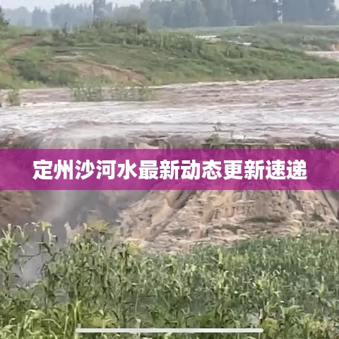 定州沙河水最新動(dòng)態(tài)更新速遞