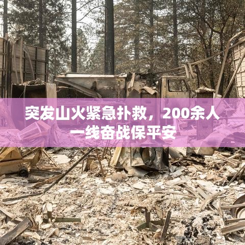 突發(fā)山火緊急撲救，200余人一線奮戰(zhàn)保平安