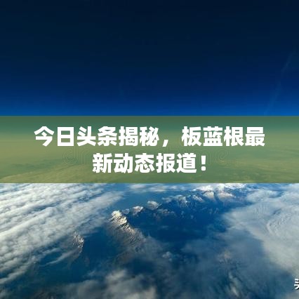今日頭條揭秘，板藍(lán)根最新動(dòng)態(tài)報(bào)道！