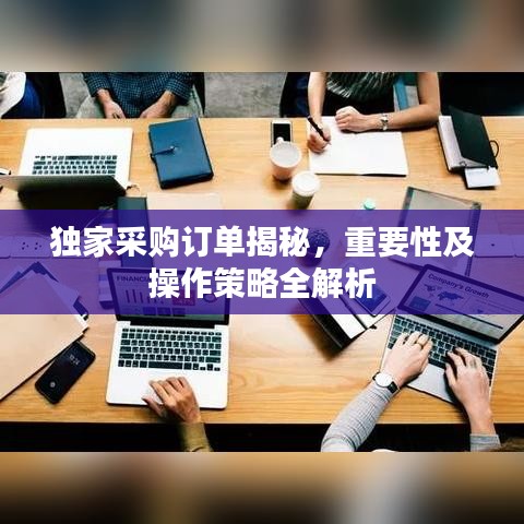 獨家采購訂單揭秘，重要性及操作策略全解析