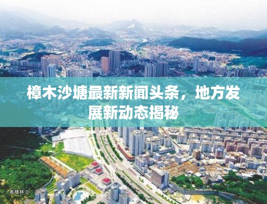 樟木沙塘最新新聞?lì)^條，地方發(fā)展新動(dòng)態(tài)揭秘