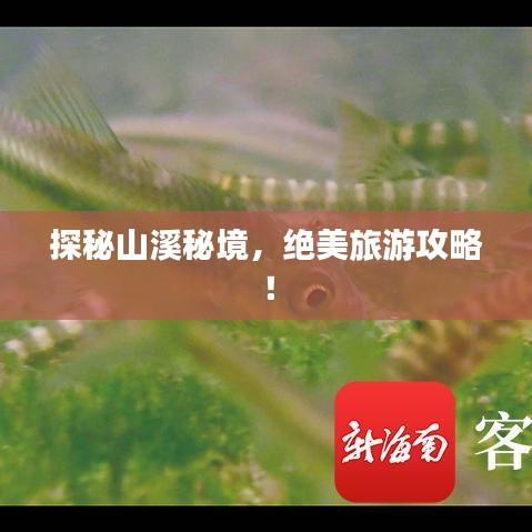 探秘山溪秘境，絕美旅游攻略！