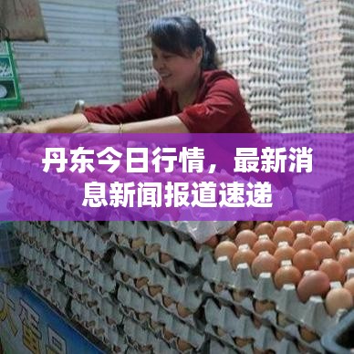 丹東今日行情，最新消息新聞報道速遞