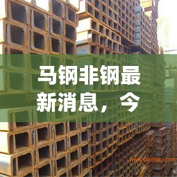 馬鋼非鋼最新消息，今日價格動態(tài)及市場走勢分析