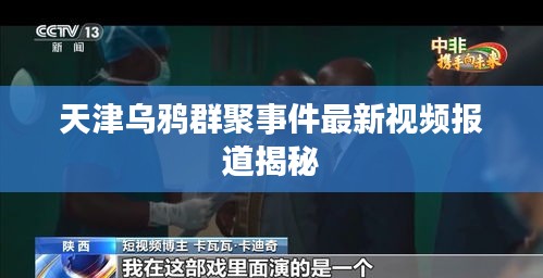天津?yàn)貘f群聚事件最新視頻報(bào)道揭秘