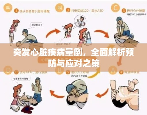 突發(fā)心臟疾病暈倒，全面解析預防與應對之策