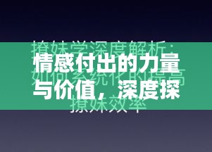情感付出的力量與價(jià)值，深度探討其意義與影響
