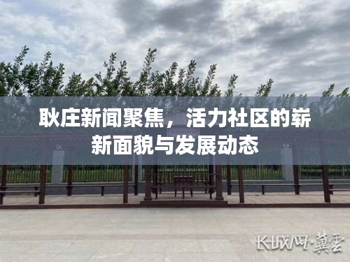 耿莊新聞聚焦，活力社區(qū)的嶄新面貌與發(fā)展動(dòng)態(tài)