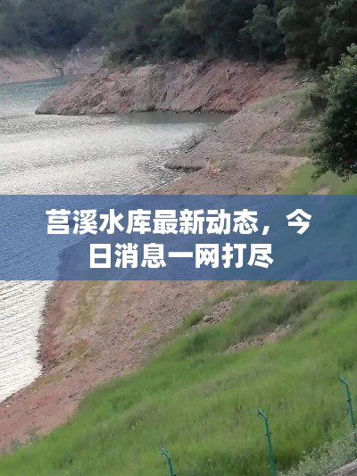 莒溪水庫最新動態(tài)，今日消息一網(wǎng)打盡