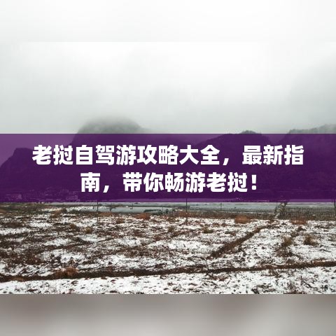龍馬精神