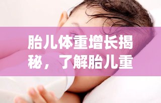 胎兒體重增長揭秘，了解胎兒重量增大的過程與意義