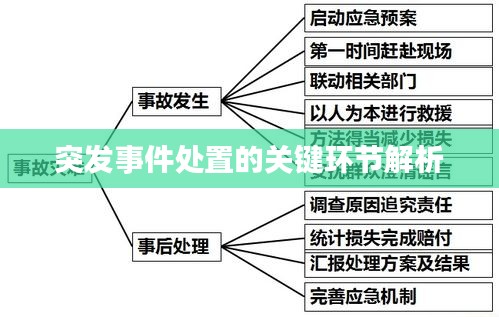 突發(fā)事件處置的關(guān)鍵環(huán)節(jié)解析