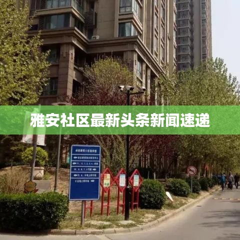 雅安社區(qū)最新頭條新聞速遞