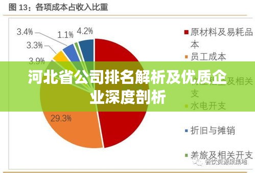 河北省公司排名解析及優(yōu)質(zhì)企業(yè)深度剖析
