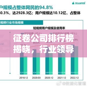 征卷公司排行榜揭曉，行業(yè)領導者與趨勢引領者浮出水面