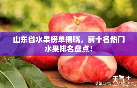 山東省水果榜單揭曉，前十名熱門水果排名盤點！