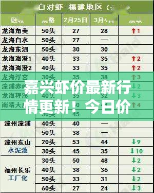 嘉興蝦價最新行情更新！今日價格走勢一網(wǎng)打盡