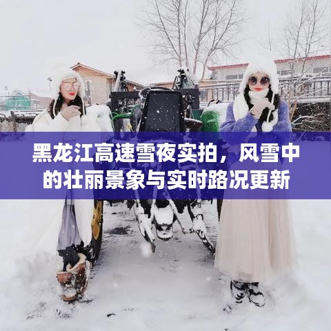 黑龍江高速雪夜實(shí)拍，風(fēng)雪中的壯麗景象與實(shí)時(shí)路況更新