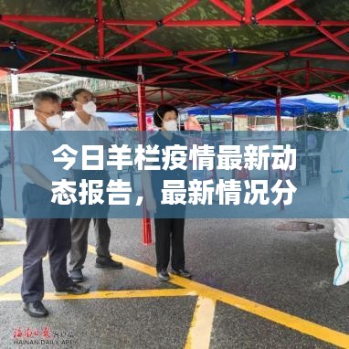 今日羊欄疫情最新動態(tài)報告，最新情況分析