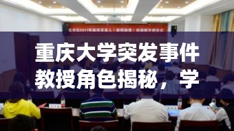 重慶大學(xué)突發(fā)事件教授角色揭秘，學(xué)者如何應(yīng)對危機(jī)？