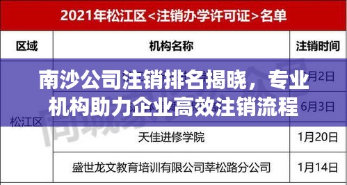 南沙公司注銷排名揭曉，專業(yè)機(jī)構(gòu)助力企業(yè)高效注銷流程
