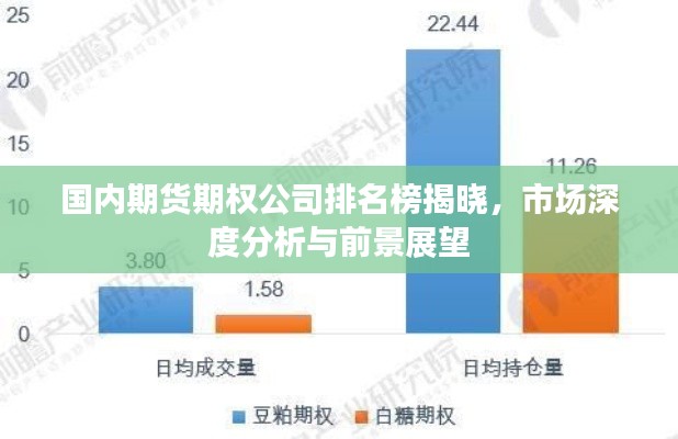 國內(nèi)期貨期權(quán)公司排名榜揭曉，市場(chǎng)深度分析與前景展望