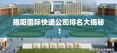 揭陽國際快遞公司排名大揭秘！