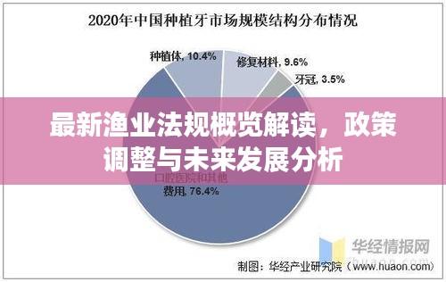 最新漁業(yè)法規(guī)概覽解讀，政策調(diào)整與未來發(fā)展分析