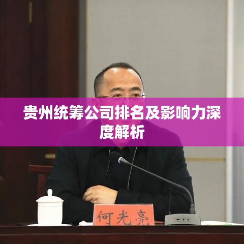 貴州統(tǒng)籌公司排名及影響力深度解析